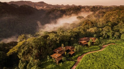 One&Only Nyungwe House Landscape