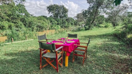 Outdoor Dinning