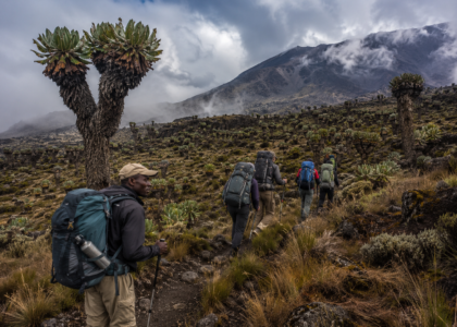 Gorilla trekking tours Rwanda Uganda